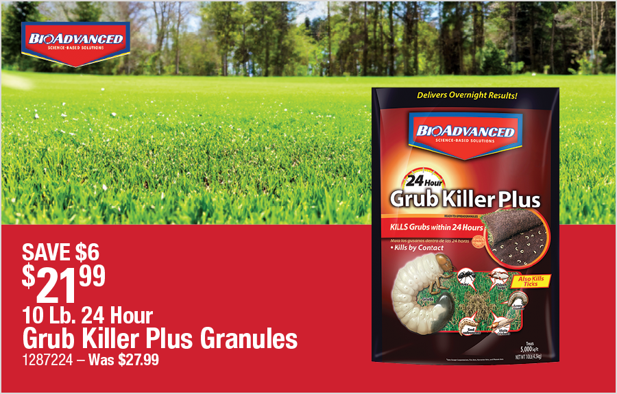 10 Lb. 24 Hour Grub Killer Plus Granules